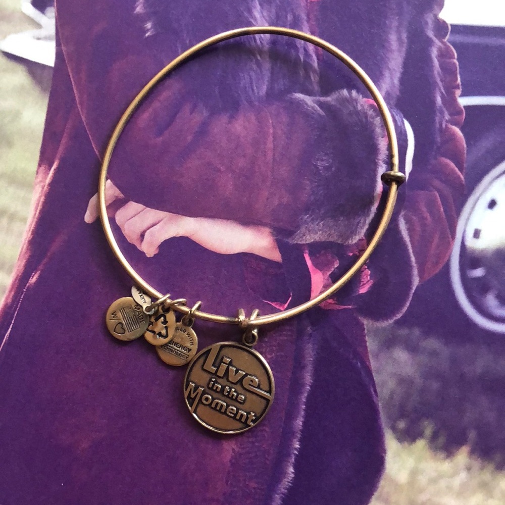 Alex + Ani Live in the Moment Bracelet